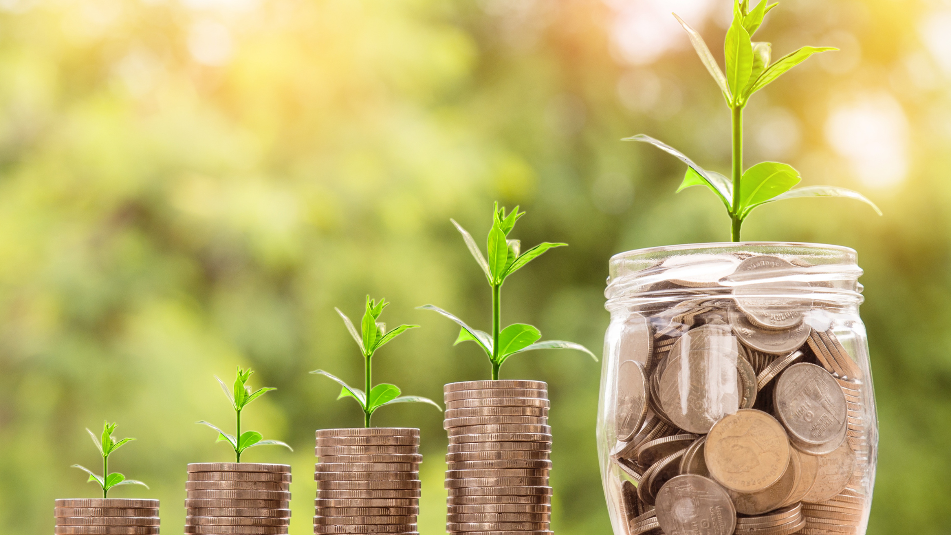 South African Guide On VAT And Financial Statements